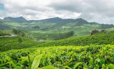 Essence of Kerala and Madurai Tour