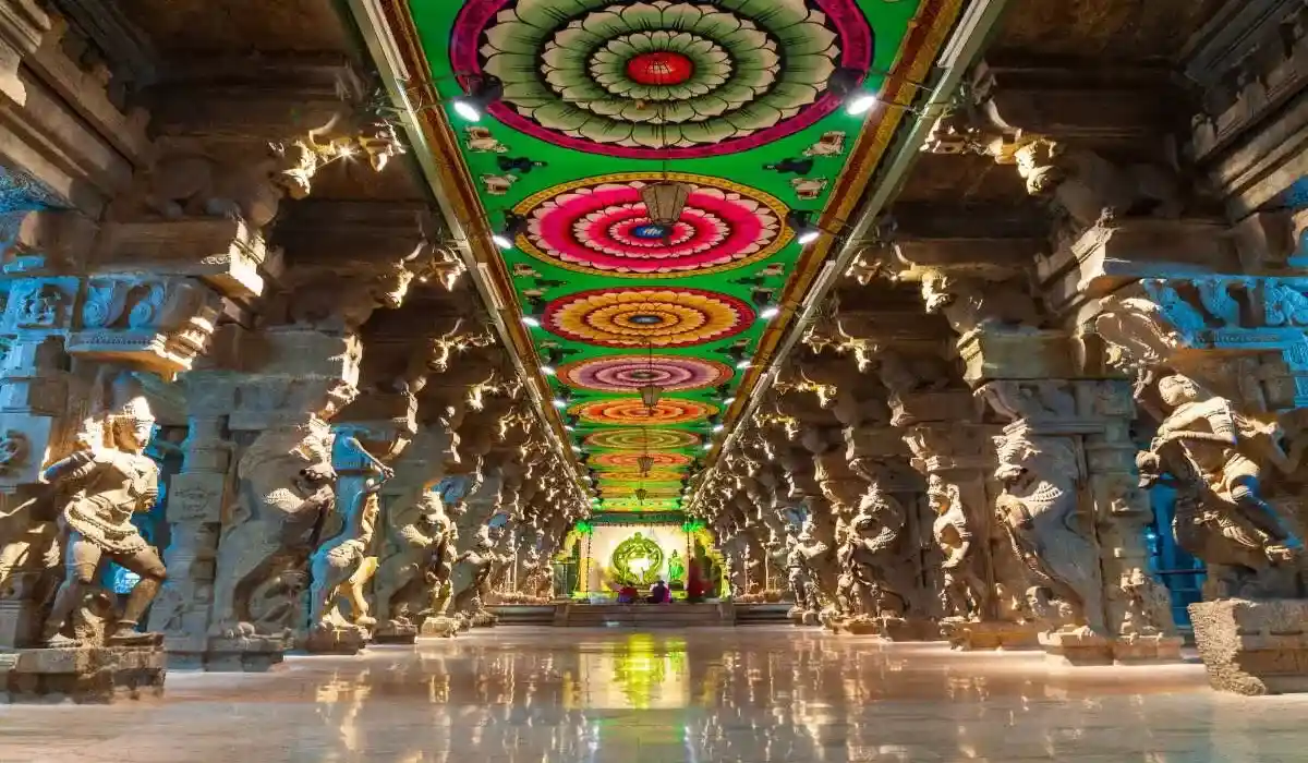 Premium South India