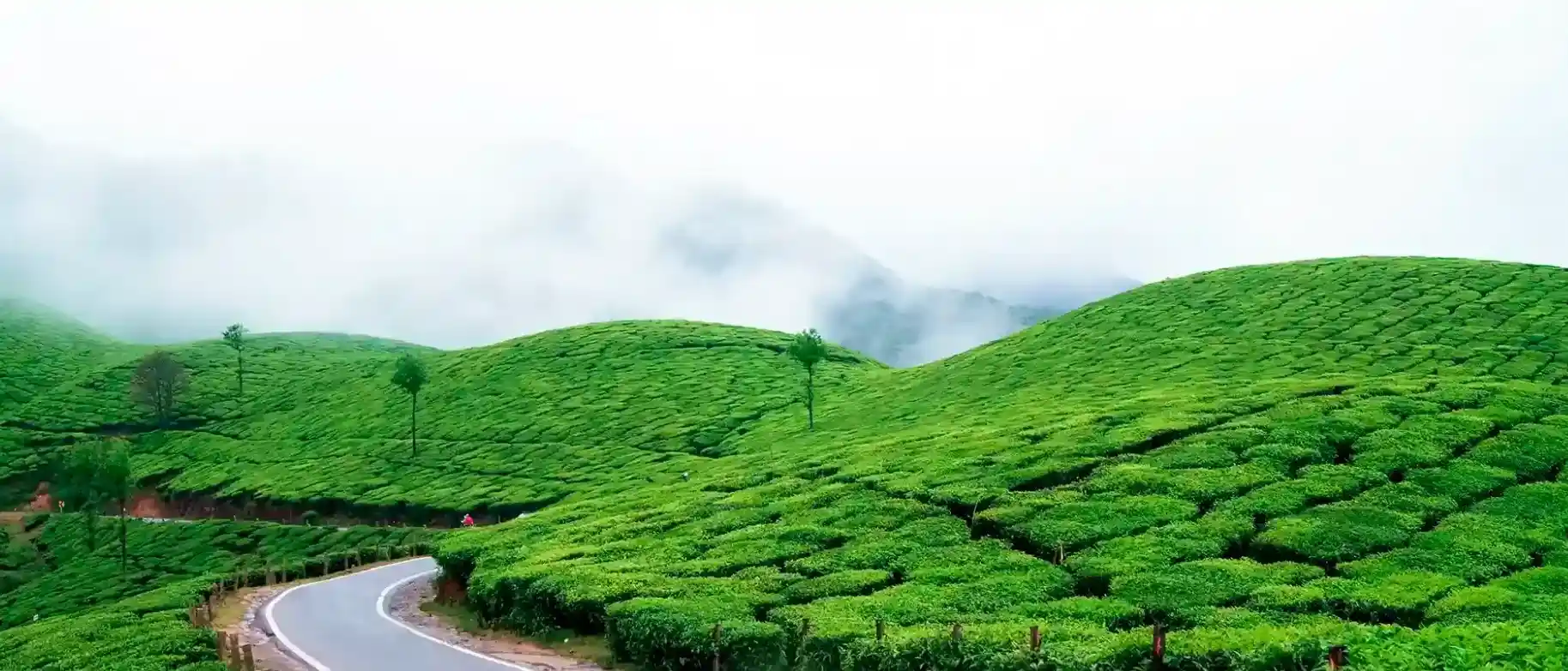 Essence of Kerala Tour