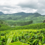 Wonders of Kerala