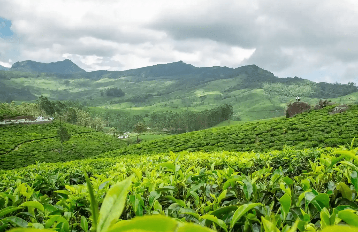 Essence of Kerala and Madurai Tour