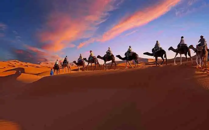 Viaggi in India | oltre 500 Viaggi in India con INDEOR India Experiences