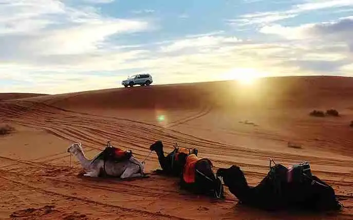 Viaggi in India | oltre 500 Viaggi in India con INDEOR India Experiences