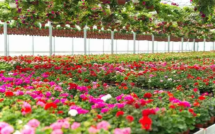 Viaggi in India | oltre 500 Viaggi in India con INDEOR India Experiences