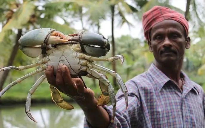 Viaggi in India | oltre 500 Viaggi in India con INDEOR India Experiences