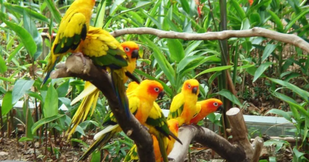 Stili di viaggio Indeor Crafted Experiences