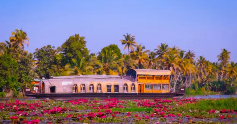 India del Sud da Vivere