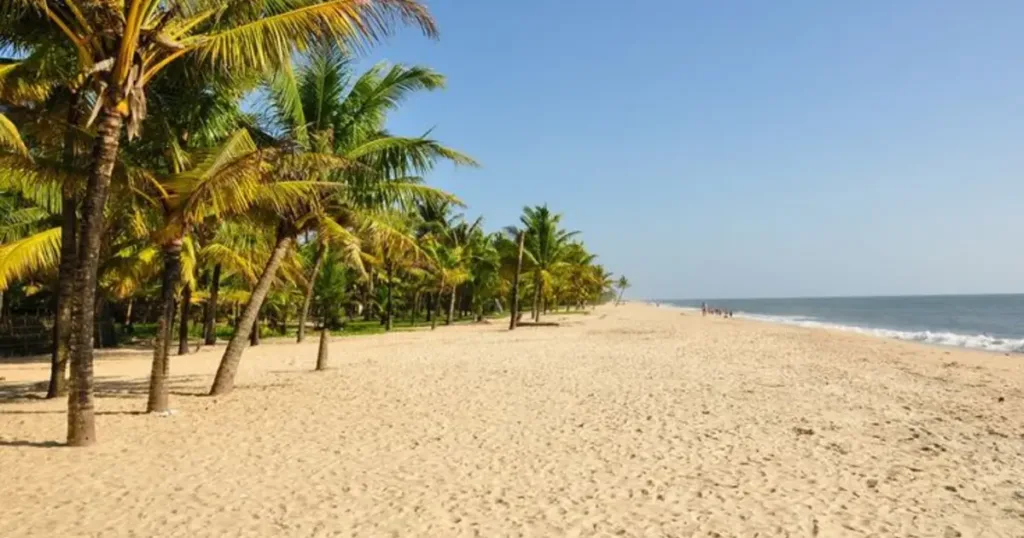 Tour Fuga d Inverno nel Kerala 12 Giorni