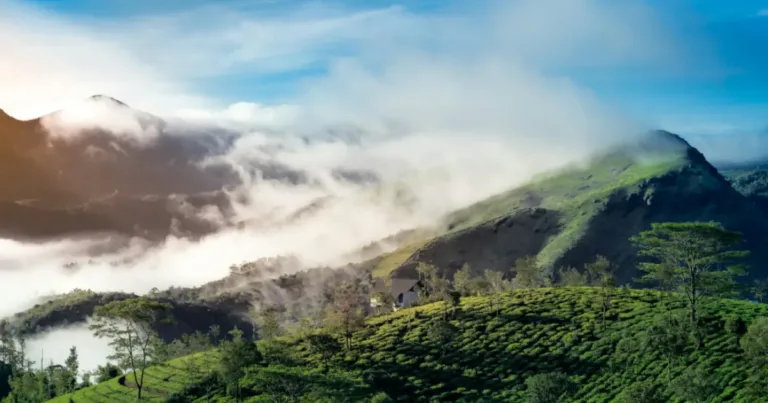 Tour Kerala Il Respiro dell India del Sud