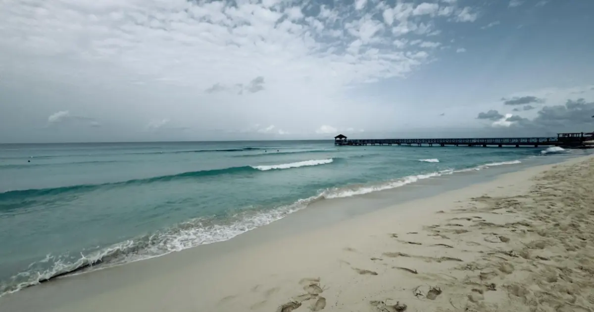 Tour Kerala d’Incanto : Natura, Cultura e Relax