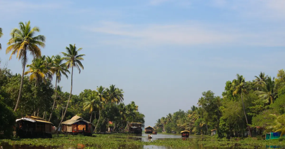 Vacanza in Kerala di Charme – L’India più Dolce e Naturale