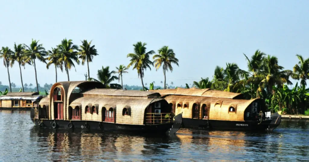 Viaggio Armonie Tropicali del Kerala 08 giorni