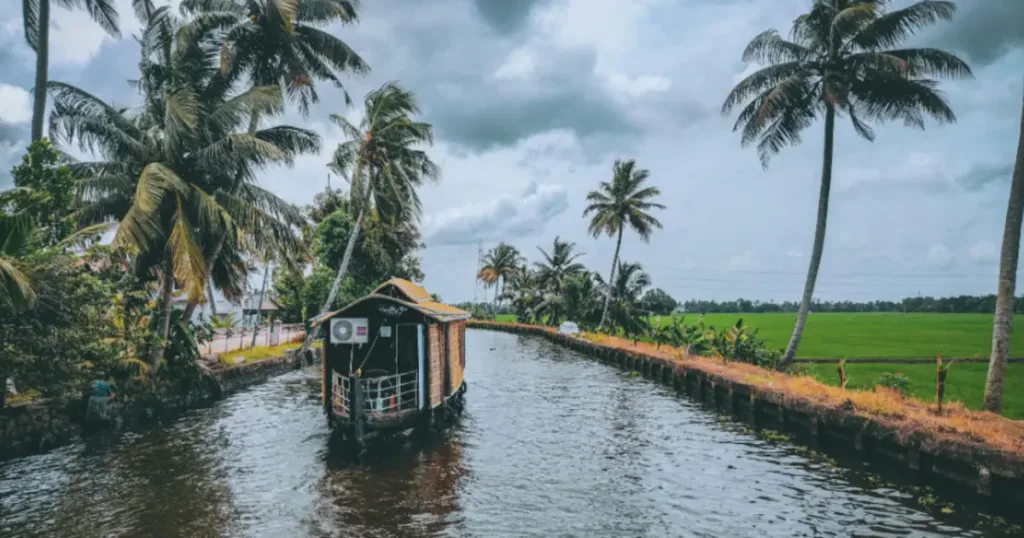 Viaggio Kerala Completo Tra Piantagioni Templi e Backwaters 8 Giorni
