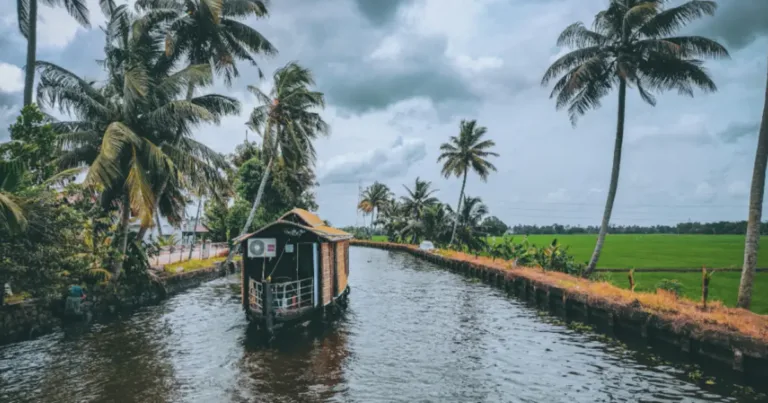 Viaggio Kerala Completo Tra Piantagioni, Templi e Backwaters