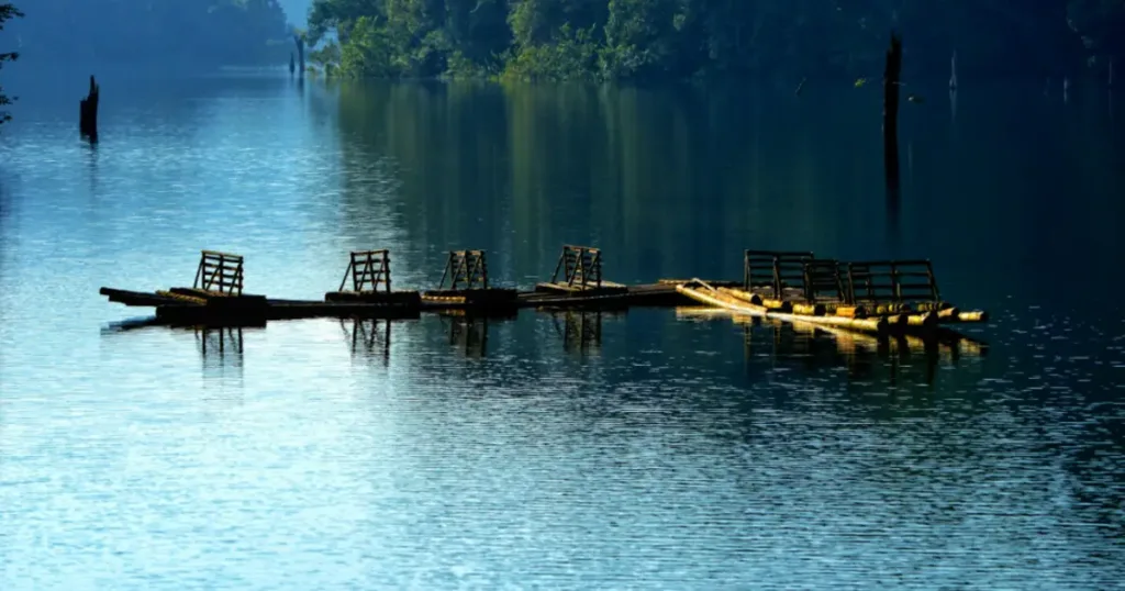 Viaggio di Nozze Amore a Sud Kerala per Due 08 Giorni