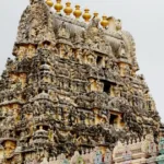 Gran Viaggio nell’India del Sud Autentica