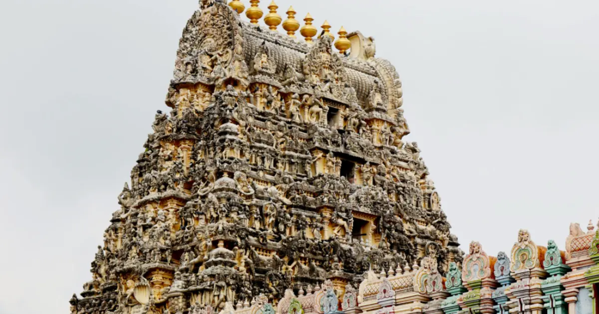 Gran Viaggio nell’India del Sud Autentica