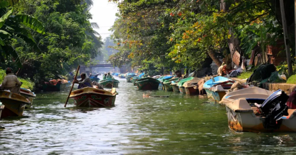 Tour Completo Sri Lanka