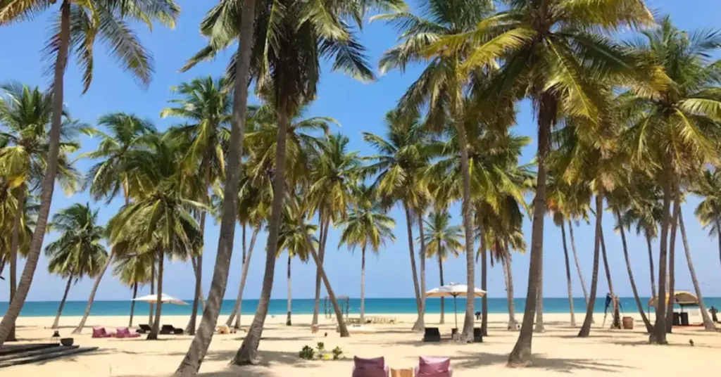 Tour Sri Lanka: Un Viaggio tra Selvaggio e Sacro