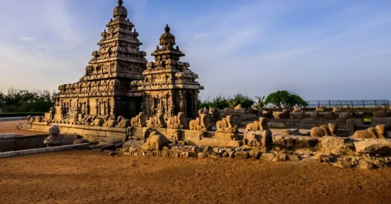 Tour Tutto il Sud dell’India, Senza Volare