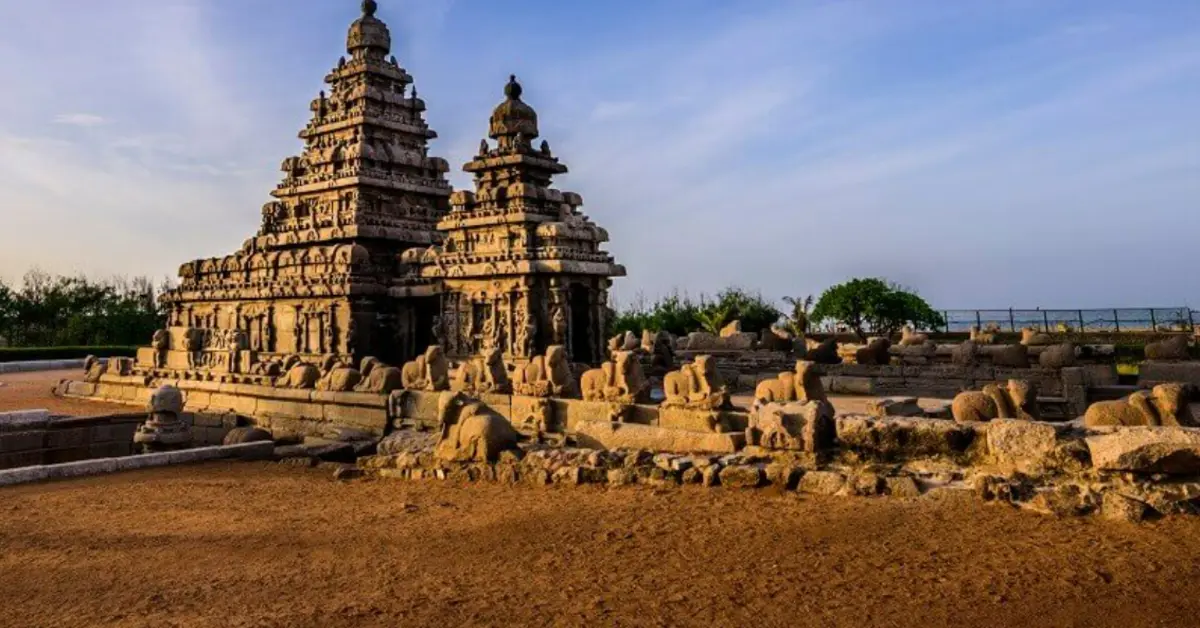 Tour Tutto il Sud dell’India, Senza Volare