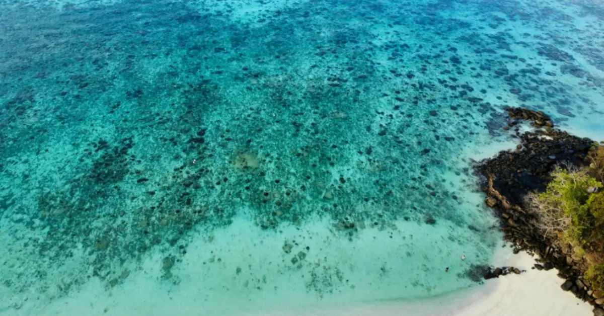 Viaggio alle Isole Andamane: Paradiso Segreto d’Oriente