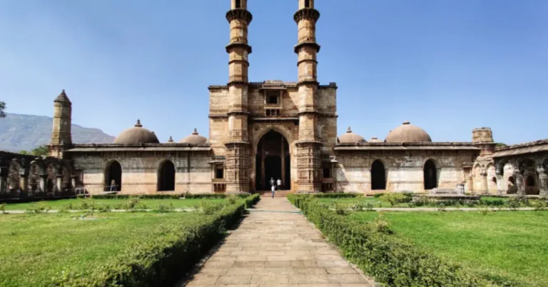 Anima del Gujarat Tra Tribù Terre di Sale e il Leone Asiatico