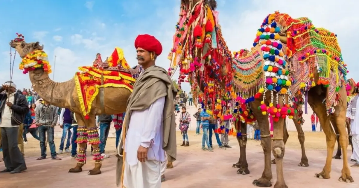 Colori, Forti e Tradizioni del Rajasthan