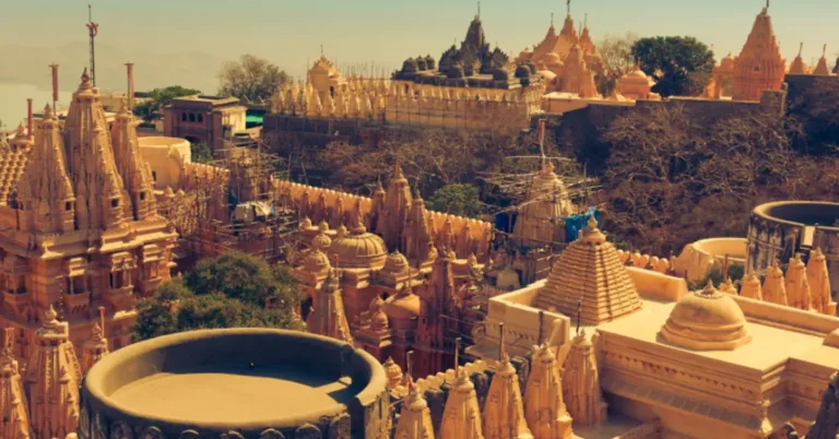 Gujarat Selvaggio Tribù Deserti e Leoni