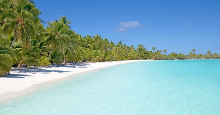 Kerala Incantato e le Perle delle Laccadive