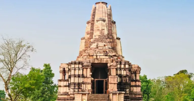 Magia del Nord India Tra Palazzi e Templi