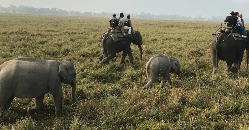 Tour Nord-Est India Assam Arunachal e Nagaland 16 Giorni