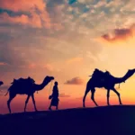 Tour Rajasthan Easy