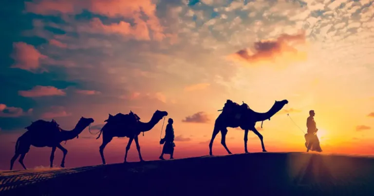 Tour Rajasthan Easy