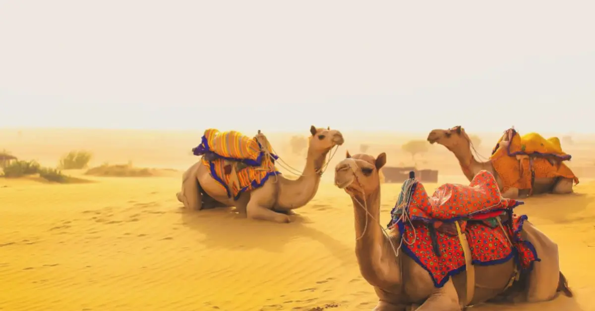 Tour completo Nord India