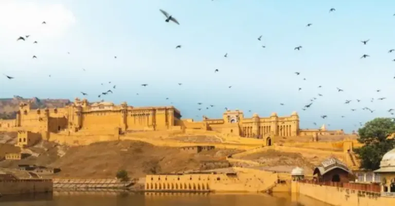 Tour completo del Rajasthan con Pushkar