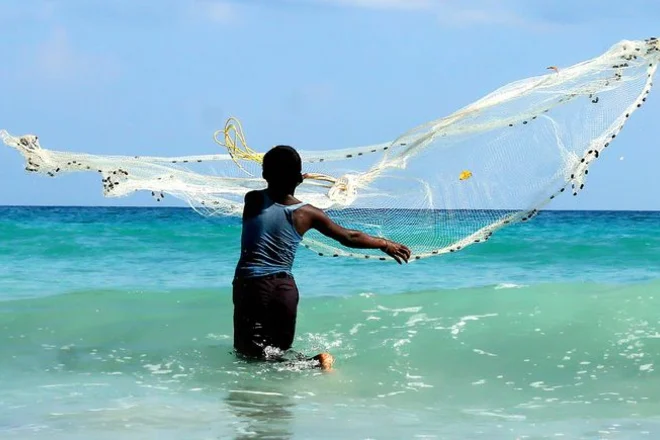 Viaggi e Vacanze India del Sud | Tour operator Indeor India Experience