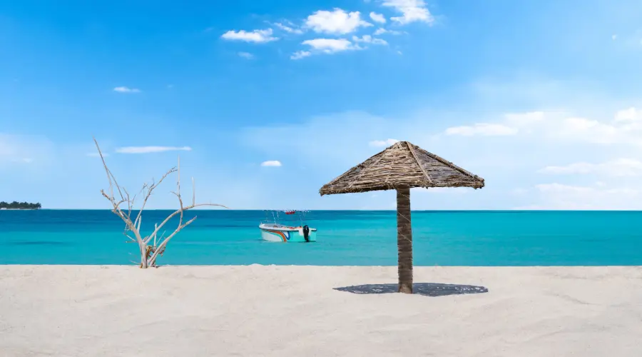 Tour operator | INDEOR India Experiences