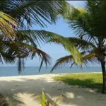 Turtle Beach Ayurvedic Beach Resort Mararikulam