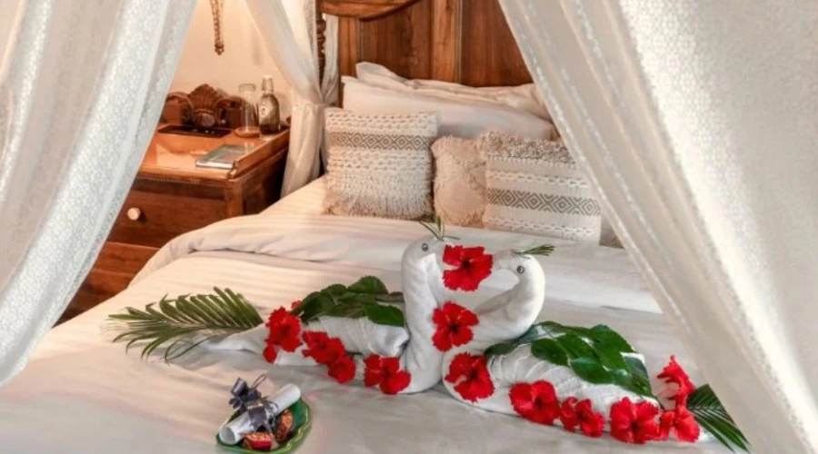 Palm Villa, Marari beach 4