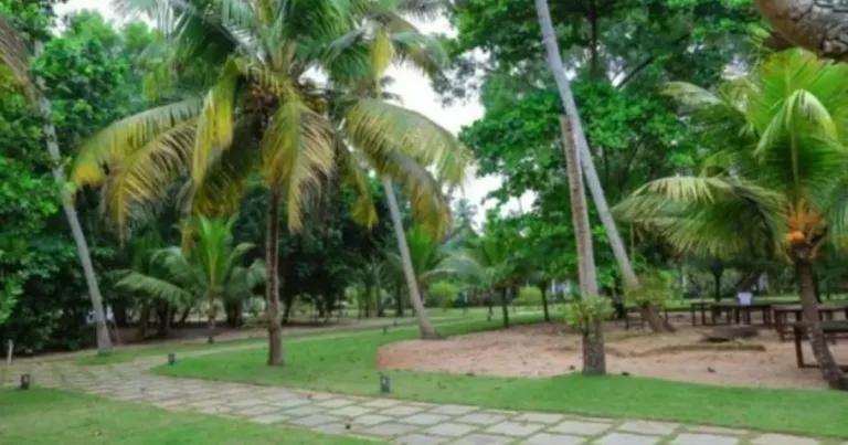 Seclude marari sands 6