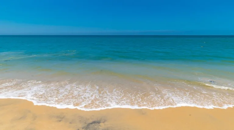 Veena By the beach 14