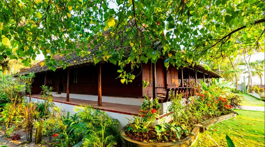 Veena By the beach 15 (1)