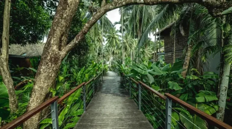 CGH - Tilar Siro Andaman 14