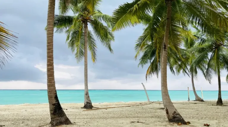 Thinnakkara attol (5)