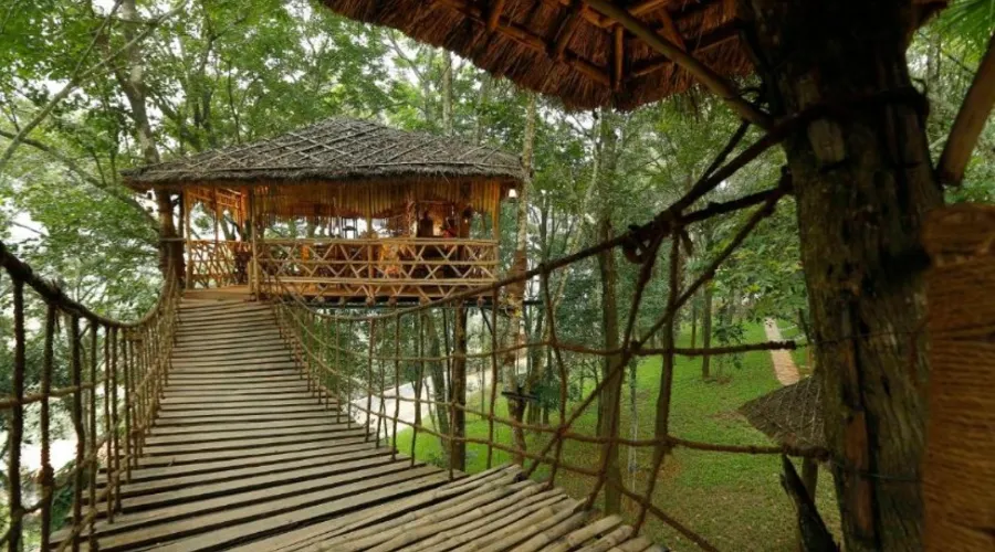 Green Woods, Thekkady (8)