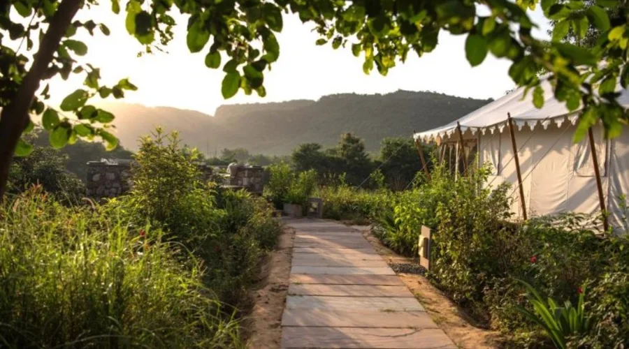 Khem-Villas-Ranthambore-16