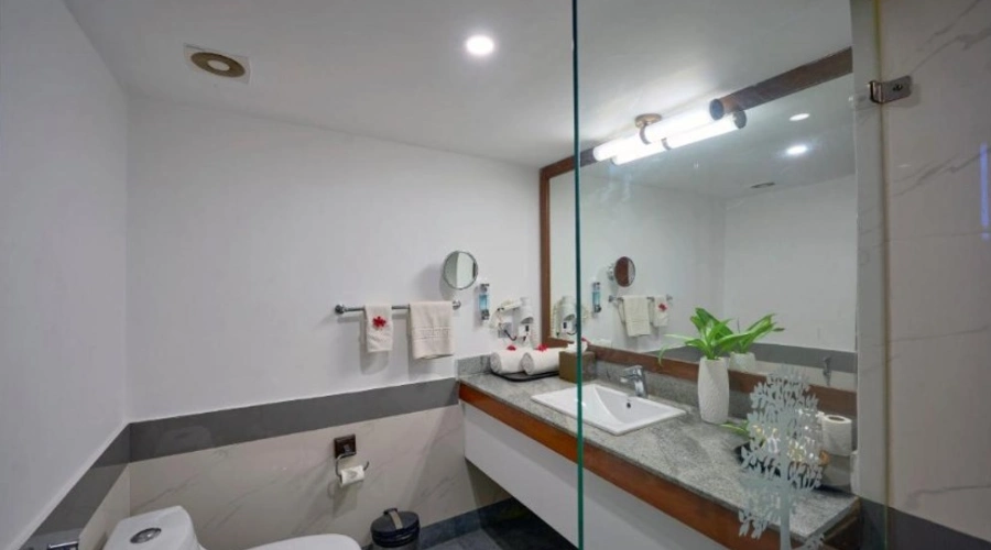 Lake view terrace room (4)