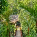 Shalimar Spice Garden Resort & Spa, Thekkady