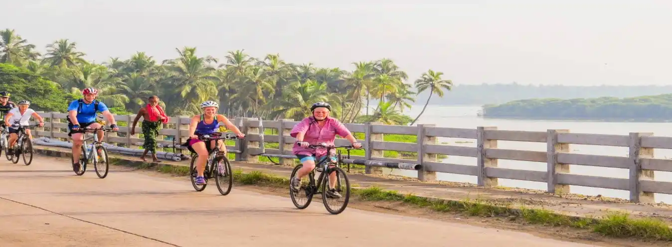 Tour Guidato in Bicicletta nel Sud dell’India: Tamil Nadu, Kerala e Backwaters